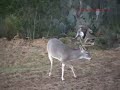 Deer Hunting - Thunderstruck