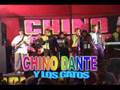 CHINO DANTE MIX CHACALON
