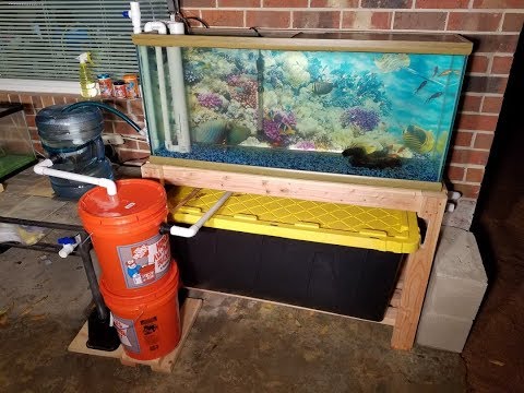 Aquaponics System Design Setup And Maintenance Costs On Grow