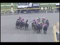 videos de [パトロールビデオ] 081108 5東京1 12R フィリピントロフィー
