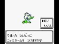 Celebi