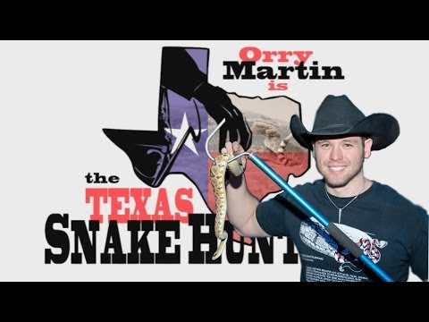 YouTube reptile video
