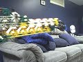 True bolt-action rifle