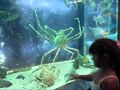 passeio em numazu.wmv