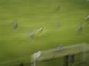 Boca- tigre Boca- tigre