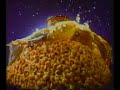 1986 commercial for Fisher cashews that depicts Betsy Ross at the end