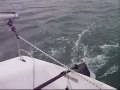 Velejando na Baía de Todos os Santos