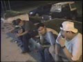 Shimbal-Terror