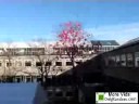 Balloon Launch Disaster