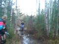 videos de blött åt björn
