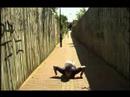 Football Freestyler