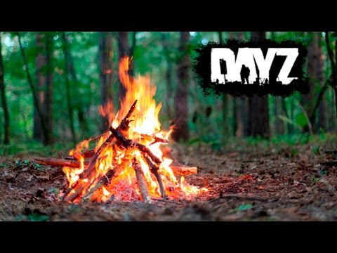 Dayz спички как сделать Dayz спички как сделать
