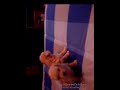 Perritos Perritos