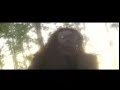 morena - cafu banton vs almirante