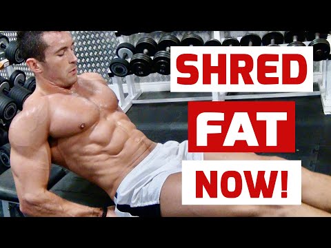 how to train like a wbff pro