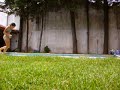 Desconche En La Pileta(? II