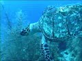 1999 Belize, Belize City