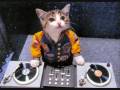 videos de Don't blaze-part-05.wmv