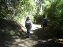 BARILOCHE 2008