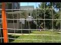 videos de Wiffleball Sinker