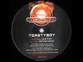 Toasty - Guesswork
