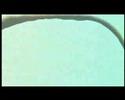 Xatzhgiannhs - Oi Titloi Tou Telous