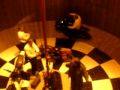 Wall Of Death Motorcycle Stunt Riding