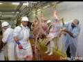 alimentation et cancers Jean Marie Pelt