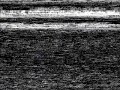 泳いでみた_0001.wmv