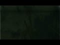 Video Flevoland. Avontuurlijk dichtbij