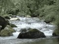 Water & Animals