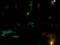 Arien- Perfect Stranger