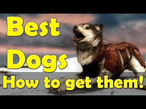 how to get a dog in skyrim