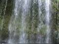 videos de Mossbrae Falls