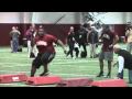 Pro Day: Terrence Cody