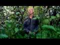 Grizzly Man Trailer
