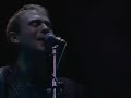 Zoot Woman - \