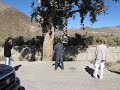 Shoe tree fail