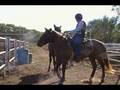 videos de Joe and colors working 2