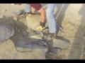 videos de RoadRock2.wmv