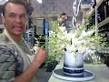 Centerpiece Centerpiece