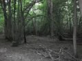 Mixed signals ~ch5~