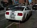 Lamborghini,Porsche,Bentley,BMW copenhagen + Audi R8