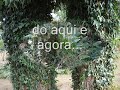 Observe a natureza e encontre os portais