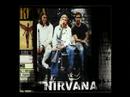 NIrvana-Milk It