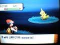 Shiny Larvitar With Poke Radar Shiny Larvitar With Poke Radar