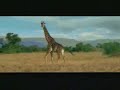 Corriendo como gacela