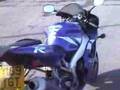 R1 Burnout 