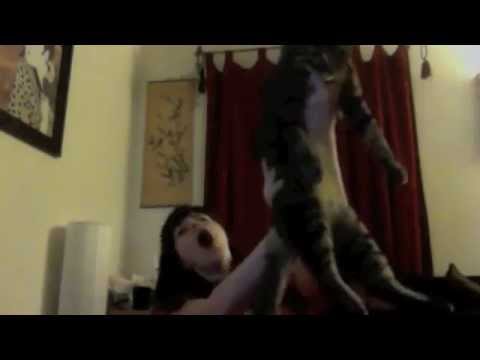Watch 'Circle of Life'