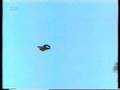 Gökdogan en hizli kus/peregrine falcon/halcon peregrino
